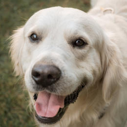 Review of Kate's profile