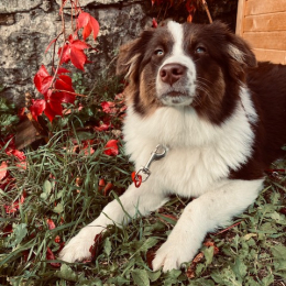 Freyja profile