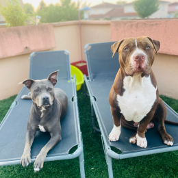 Neyka et mowgly profile