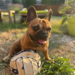 Maisy profile