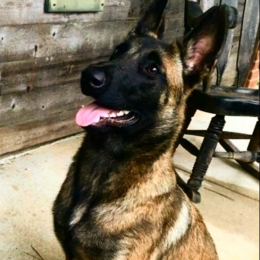 Rayan profile