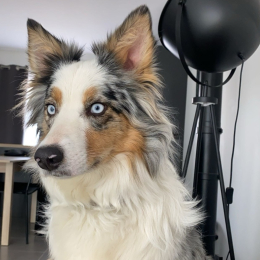 Siedem profile