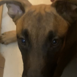 Ricky profile