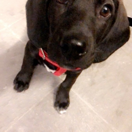 Bycko profile