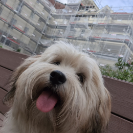 Cookie profile