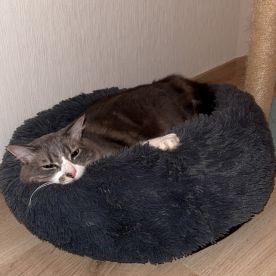 Léonie