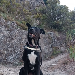 Kaly profile