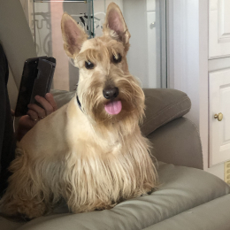 Oskar profile