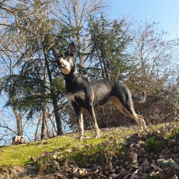 Numa profile