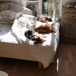 Linsey et marley profile