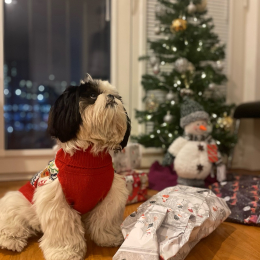 Cookie profile