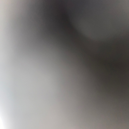 Paul profile