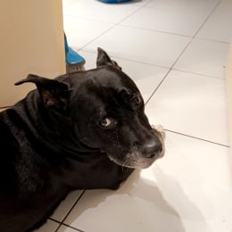 Nayce profile