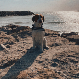 Marty profile