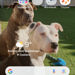 Taya et snatch profile