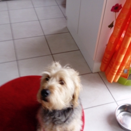 Doud profile