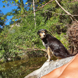 Ishka profile