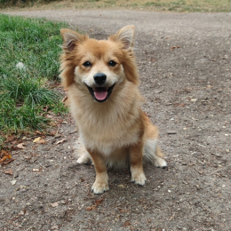 Twix profile