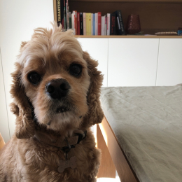 Django profile