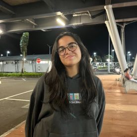 Fanomezantsoa