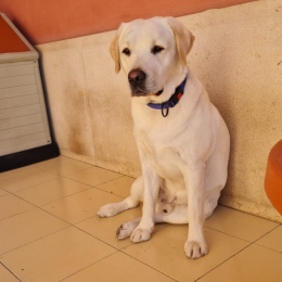 Zeus profile