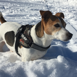 Treize profile