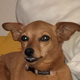 Camille profile