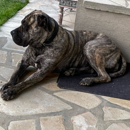 Oona profile