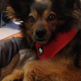 Happy profile