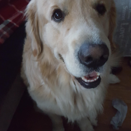 Lenny profile