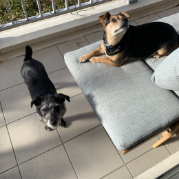 Jack et luna profile