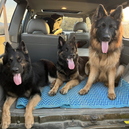 Loki thalie et santa profile