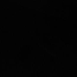 Caroluna profile