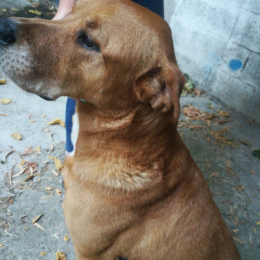 Ticia profile