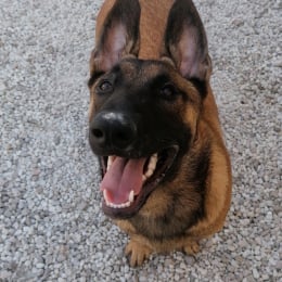 Spike profile