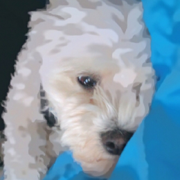 Billy profile