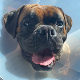 Nazko profile