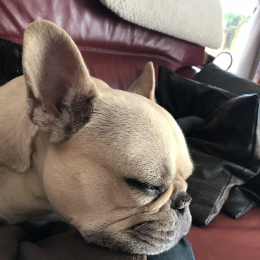 Sabrina profile