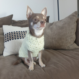 Klaus profile