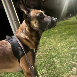 Smoky profile