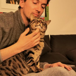 Antoine profile