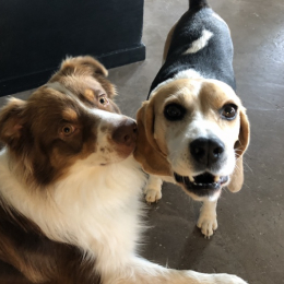 Nyron et eyden profile