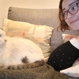 Stephani profile