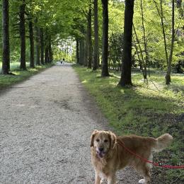 Oliver profile