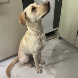 Luna profile