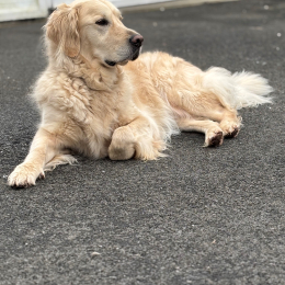 Oslo profile