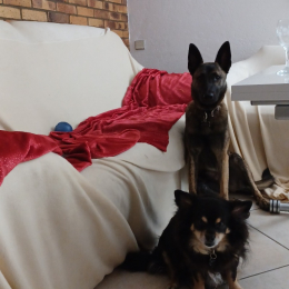 Tessa et kinou profile