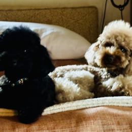 Lola e matilde profile
