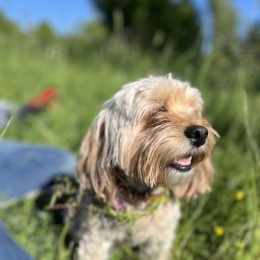 Poupette profile