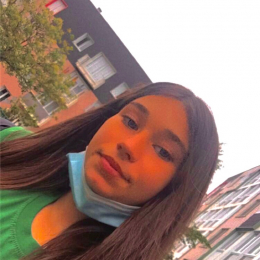 Ines profile